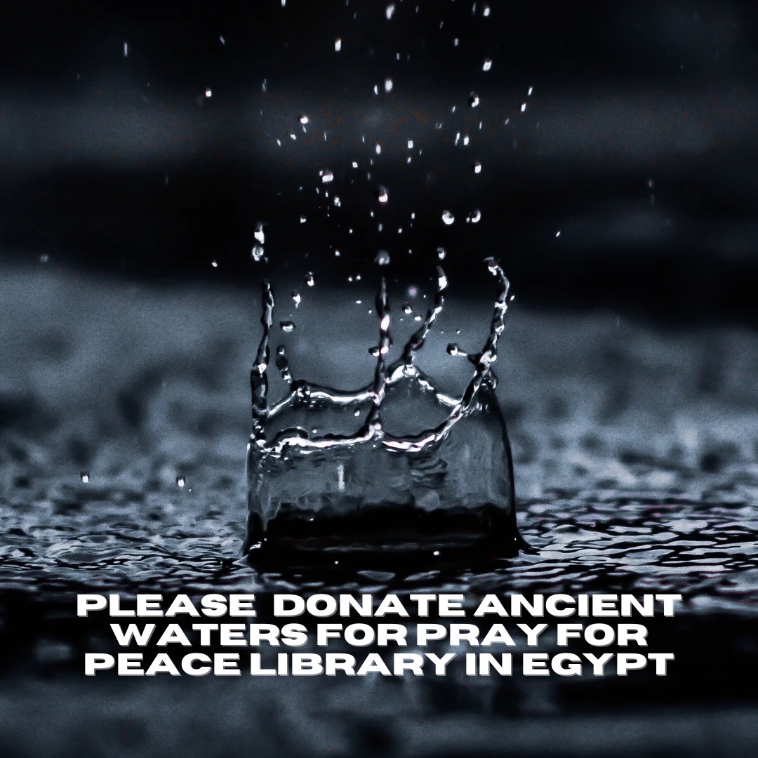 Mt. Fuji Retreat VIP Community, StarGate & Contact Fieldwork