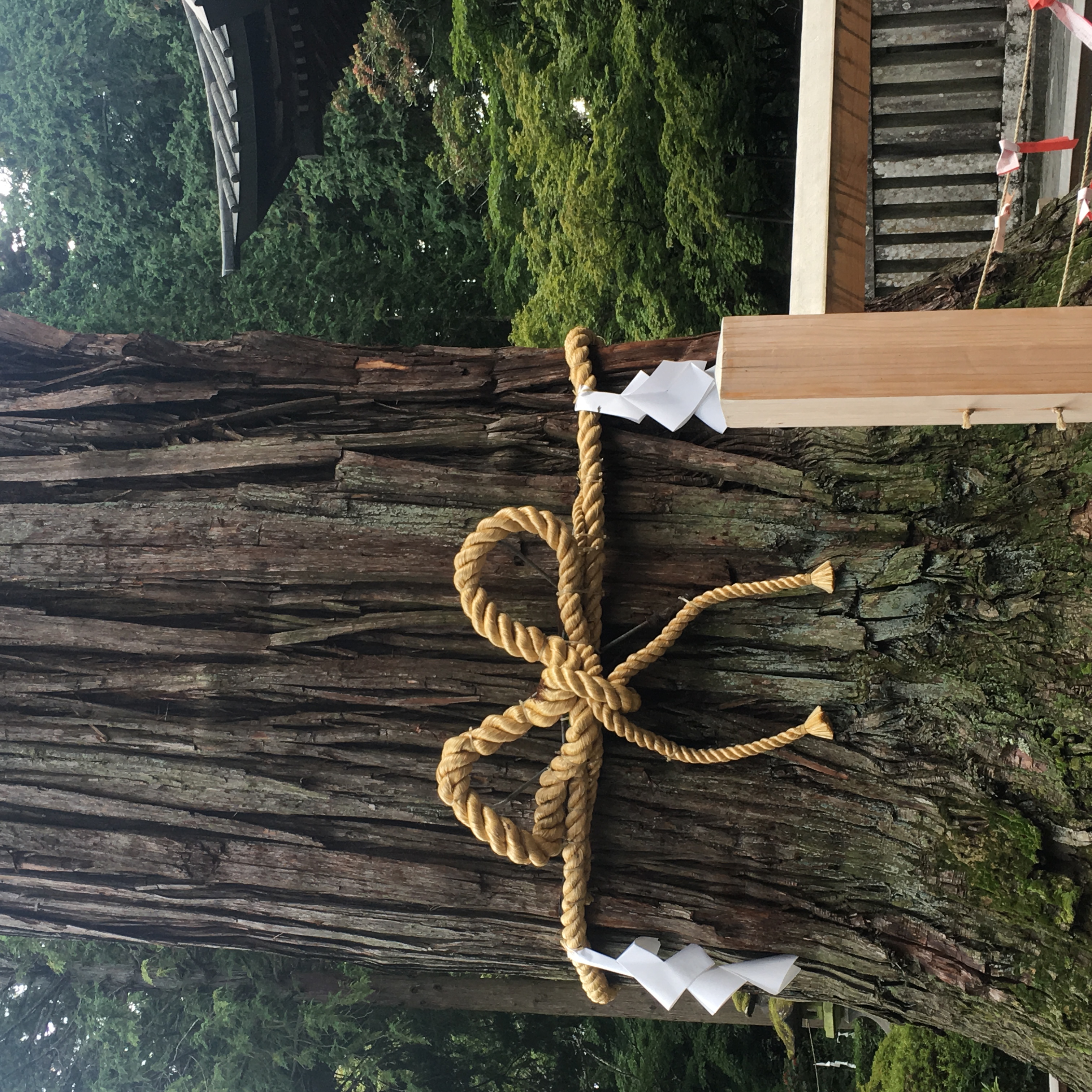 Mt. Fuji Retreat VIP Community, StarGate & Contact Fieldwork