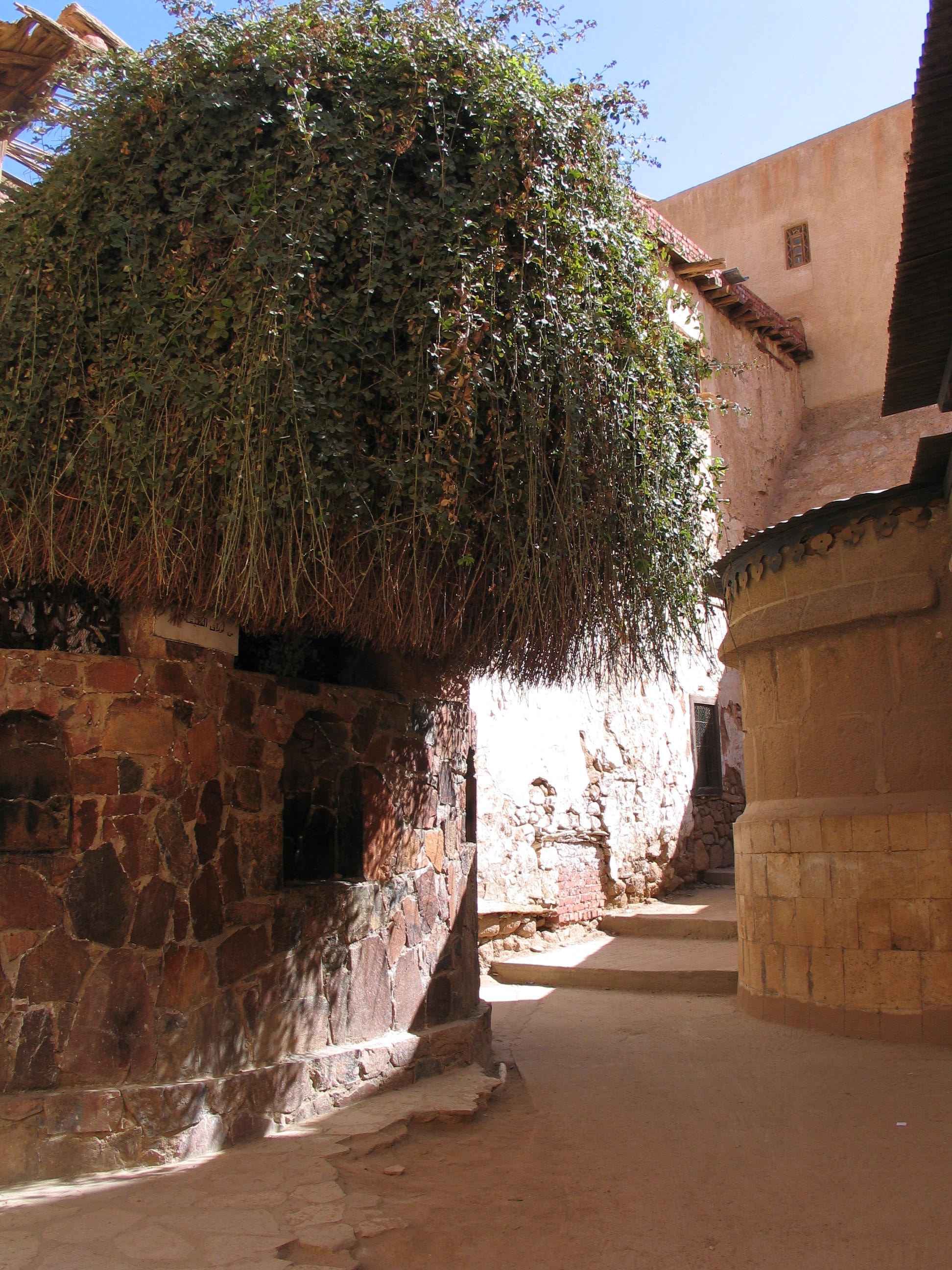 Mount Sinai Spiritual Pilgrimage