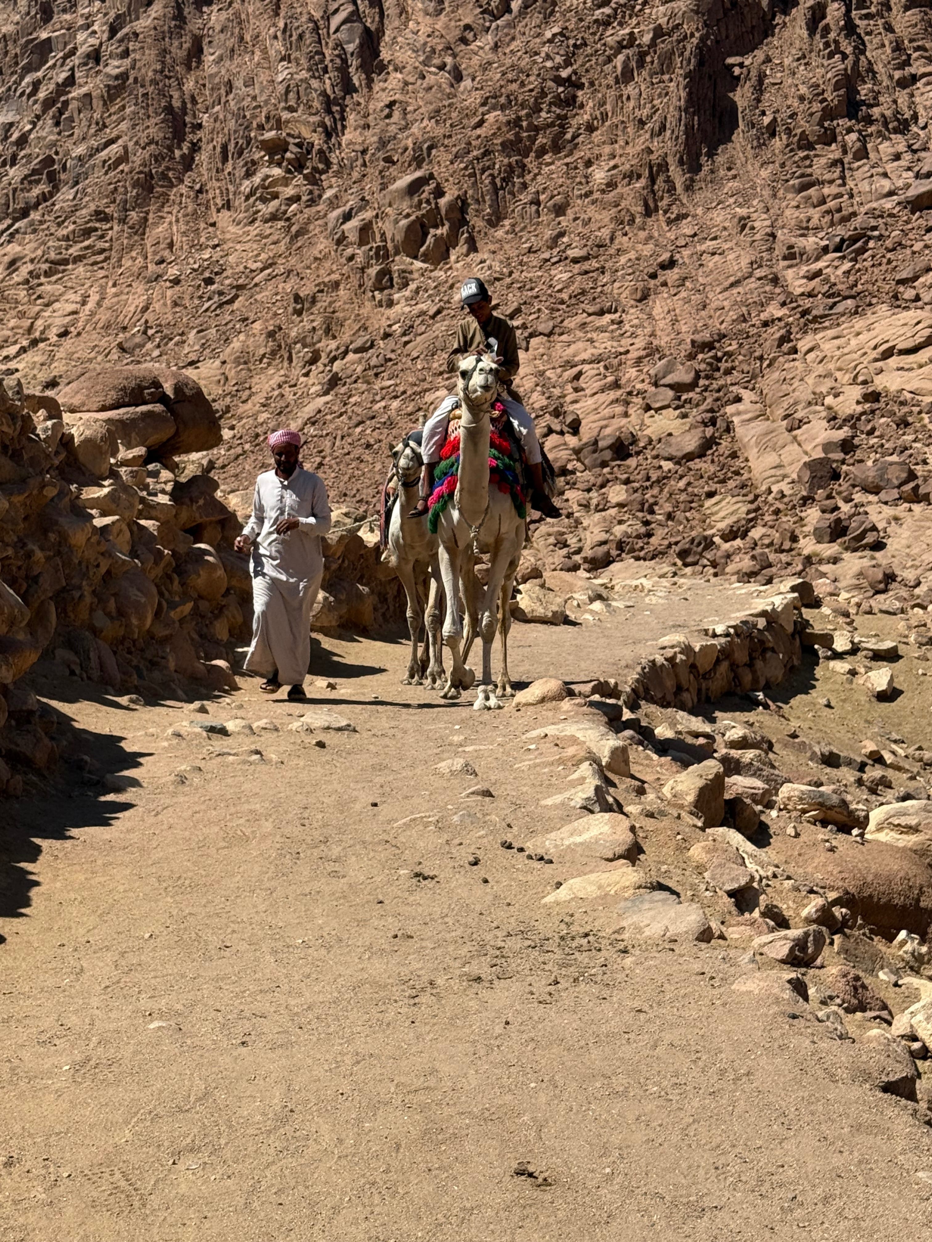 Mount Sinai Spiritual Pilgrimage